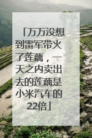 万万没想到雷军带火了莲藕，一天之内卖出去的莲藕是小米汽车的22倍