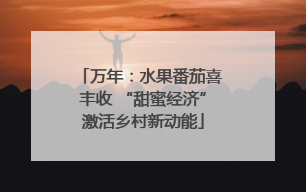 万年：水果番茄喜丰收 “甜蜜经济”激活乡村新动能