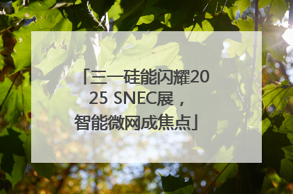三一硅能闪耀2025 SNEC展，智能微网成焦点