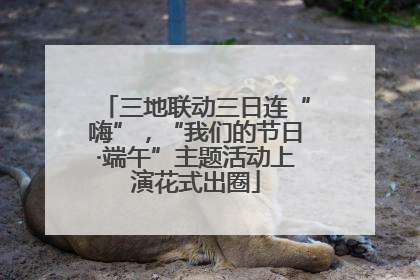 三地联动三日连“嗨”，“我们的节日·端午”主题活动上演花式出圈