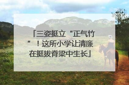 三姿挺立“正气竹”！这所小学让清廉在挺拔脊梁中生长
