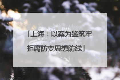 上海：以案为鉴筑牢拒腐防变思想防线