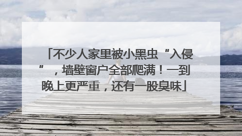 不少人家里被小黑虫“入侵”，墙壁窗户全部爬满！一到晚上更严重，还有一股臭味