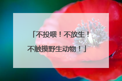 不投喂！不放生！不触摸野生动物！
