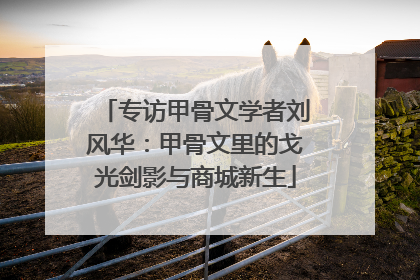 专访甲骨文学者刘风华：甲骨文里的戈光剑影与商城新生