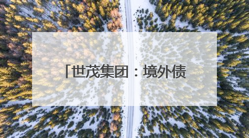世茂集团：境外债务重组计划不晚于8月29日生效，将削债115亿美元