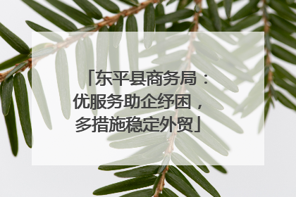 东平县商务局：优服务助企纾困，多措施稳定外贸
