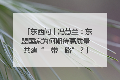 东西问丨冯慧兰：东盟国家为何期待高质量共建“一带一路”？