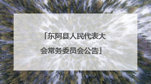 东阿县人民代表大会常务委员会公告