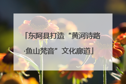 东阿县打造“黄河诗路·鱼山梵音”文化廊道