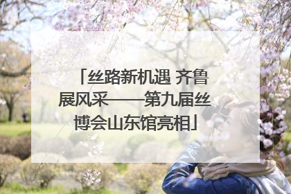 丝路新机遇 齐鲁展风采——第九届丝博会山东馆亮相
