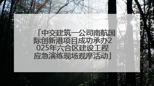 中交建筑一公司南航国际创新港项目成功承办2025年六合区建设工程应急演练现场观摩活动