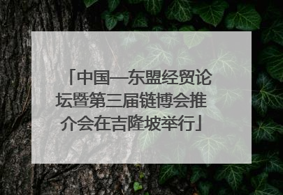 中国—东盟经贸论坛暨第三届链博会推介会在吉隆坡举行