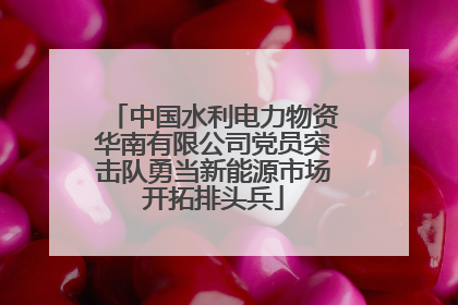 中国水利电力物资华南有限公司党员突击队勇当新能源市场开拓排头兵