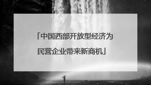 中国西部开放型经济为民营企业带来新商机