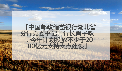 中国邮政储蓄银行湖北省分行党委书记、行长肖子政：今年计划投放不少于2000亿元支持支点建设