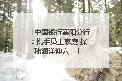 中国银行襄阳分行：携手员工家庭 探秘海洋迎六一