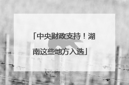 中央财政支持！湖南这些地方入选