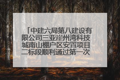 中建六局第八建设有限公司三亚崖州湾科技城南山棚户区安置项目二标段顺利通过第一次主体结构验收