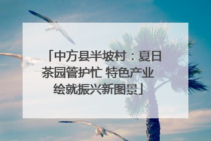 中方县半坡村：夏日茶园管护忙 特色产业绘就振兴新图景