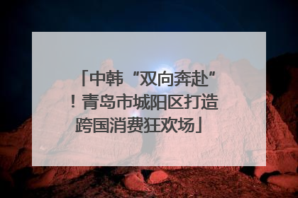 中韩“双向奔赴”！青岛市城阳区打造跨国消费狂欢场