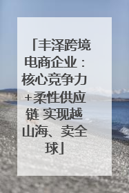 丰泽跨境电商企业：核心竞争力+柔性供应链 实现越山海、卖全球