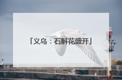 义乌：石斛花盛开