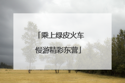 乘上绿皮火车 慢游精彩东营