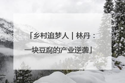 乡村追梦人｜林丹：一块豆腐的产业逆袭