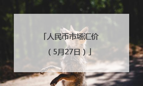 人民币市场汇价（5月27日）