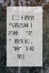 二十四节气看吉林丨芒种：“芒”着生长，“种”下希望