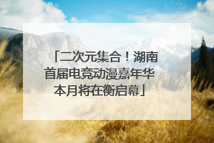 二次元集合！湖南首届电竞动漫嘉年华本月将在衡启幕