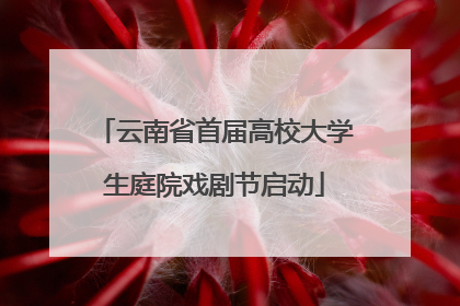 云南省首届高校大学生庭院戏剧节启动