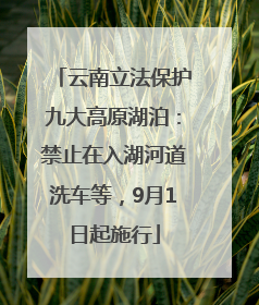 云南立法保护九大高原湖泊：禁止在入湖河道洗车等，9月1日起施行