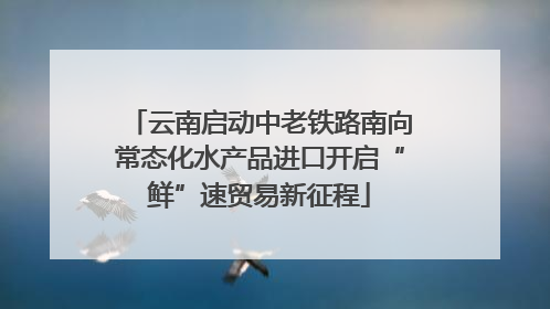 云南启动中老铁路南向常态化水产品进口开启“鲜”速贸易新征程