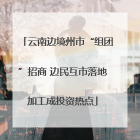云南边境州市“组团”招商 边民互市落地加工成投资热点