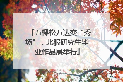 五棵松万达变“秀场”，北服研究生毕业作品展举行