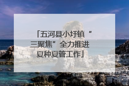 五河县小圩镇“三聚焦”全力推进夏种夏管工作