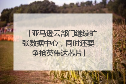 亚马逊云部门继续扩张数据中心，同时还要争抢英伟达芯片