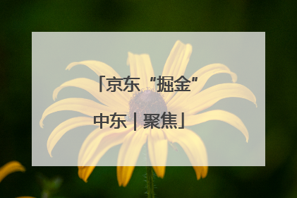 京东“掘金”中东｜聚焦