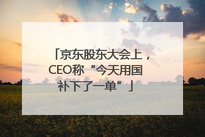 京东股东大会上，CEO称“今天用国补下了一单”