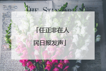 任正非在人民日报发声