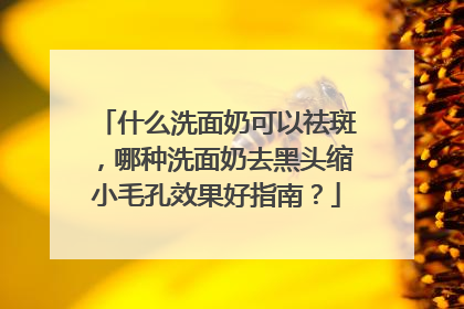 什么洗面奶可以祛斑，哪种洗面奶去黑头缩小毛孔效果好指南？