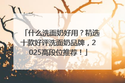什么洗面奶好用？精选十款好评洗面奶品牌，2025高段位推荐！