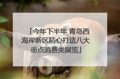 今年下半年 青岛西海岸新区精心打造八大重点消费类展览