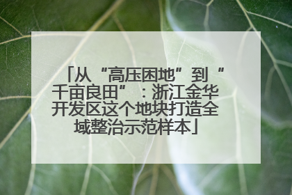 从“高压困地”到“千亩良田”：浙江金华开发区这个地块打造全域整治示范样本