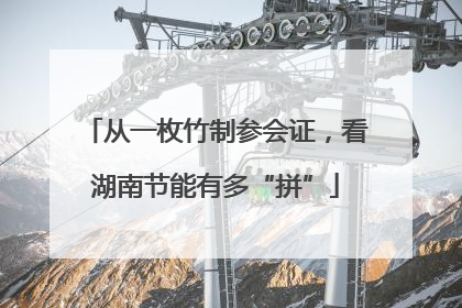 从一枚竹制参会证，看湖南节能有多“拼”