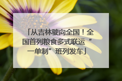 从吉林驶向全国！全国首列粮食多式联运“一单制”班列发车