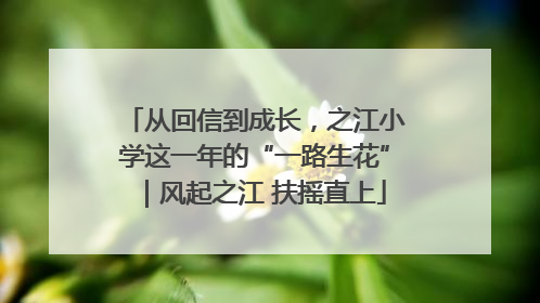 从回信到成长，之江小学这一年的“一路生花”｜风起之江 扶摇直上