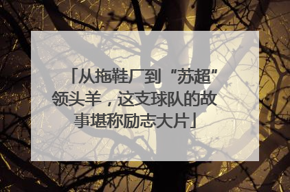 从拖鞋厂到“苏超”领头羊，这支球队的故事堪称励志大片